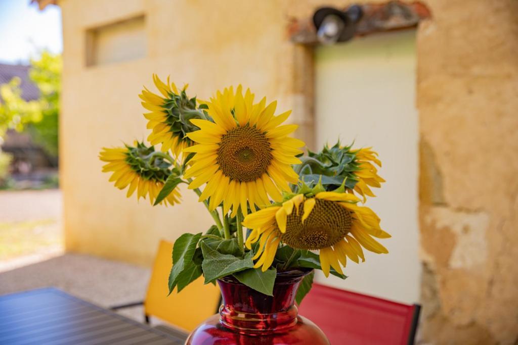 Domaine De Laplan Bed and Breakfast Cezan Εξωτερικό φωτογραφία